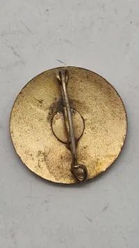 Sjældent Nordslesvig WW2 kameradschaft mærke guld, originalt