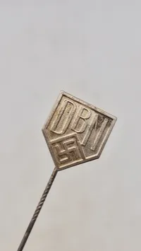 Dansk WW2 D.N.S.A.P, Nordslesvig, originalt