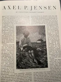 Originalt nationalt blad fra ww2
