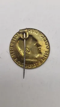 "Ein Volk, Ein Reich, Ein Führer" badge. Original