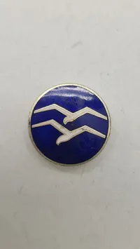 Segelflieger pin, ww2. Original