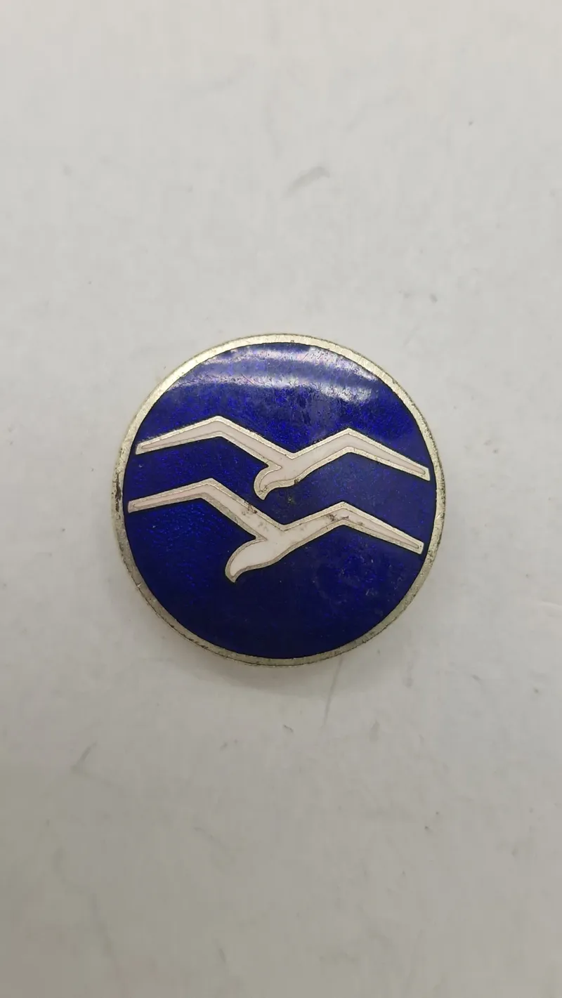 Segelflieger pin, ww2. Original