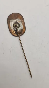 Reich Arbeits Dienst pin. Original