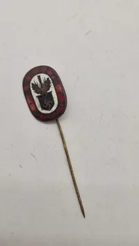 Reich Arbeits Dienst pin. Original