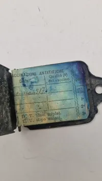 Austrian Hungarian WW1 ID pendent, original