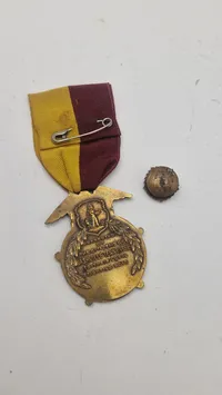 US WWI NASHVILLE TENNESSEE VICTORY MEDAL, 1919. Original