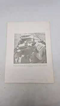 Der Norden, ww2. Original
