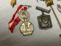 Samling diverse pins