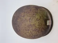 US hjelmskal