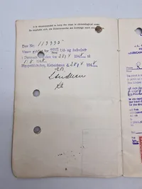 Pas fra 1945 mange rejser