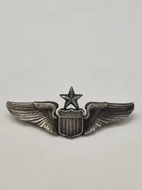 Original US WW2 pilotvinge
