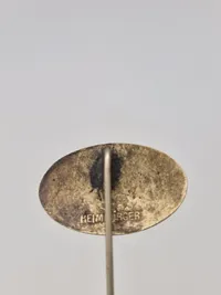 Pin- statsskovfoged