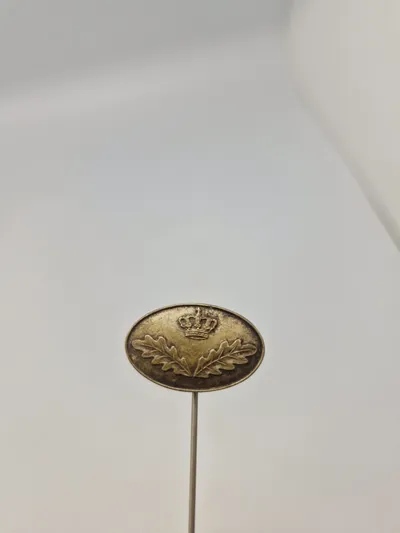 Pin- statsskovfoged
