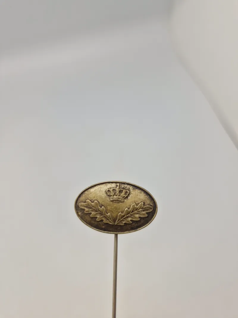 Pin- statsskovfoged