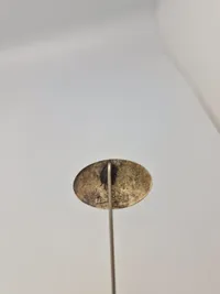 Pin- statsskovfoged