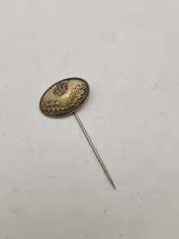 Pin- statsskovfoged