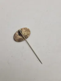 Pin- statsskovfoged