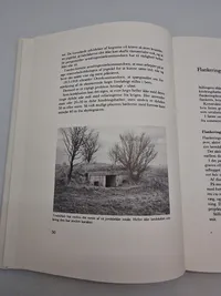 Tunestillingen
