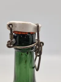 Sjælden grøn carlsberg flaske