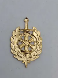 Originalt regimentsmærke - DANILOG