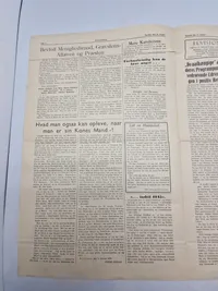 Lot originale blade fra “Revision” som var kendt for at hjælpe tidligere Frikorps folk mm.