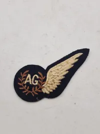 Samling originale ww2 vinger og ordner