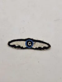 Samling originale ww2 vinger og ordner