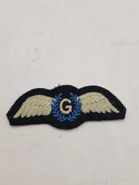 Samling originale ww2 vinger og ordner