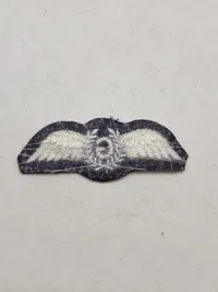 Samling originale ww2 vinger og ordner