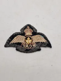 Samling originale ww2 vinger og ordner
