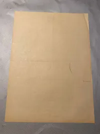 Sjælden original DNSAP hverve flyer i A4 størrelse