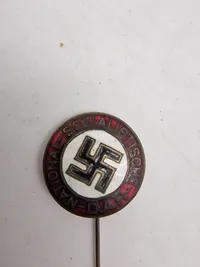 DAP partinål