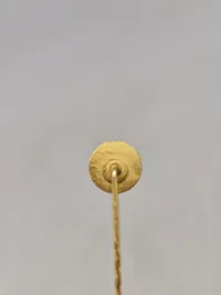 Original pin modstandsbevægelsen