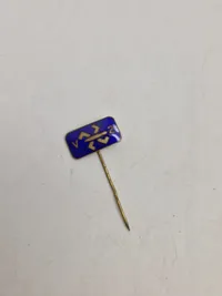 Original Anti Nazistisk pin V2