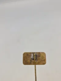 Original Anti Nazistisk pin V2