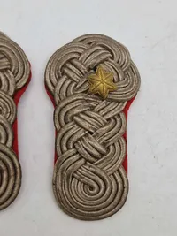 Tidlig major