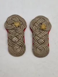 Tidlig major