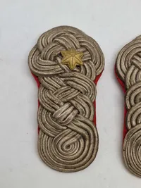 Tidlig major