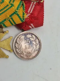 Original dansk miniature spange