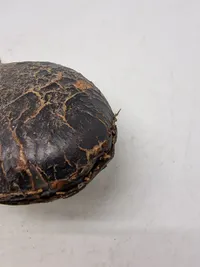 Sjælden original feltflaske brugt under 1864 krigen med historie