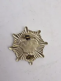 Samling regiments mærker