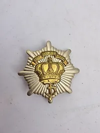 Samling regiments mærker
