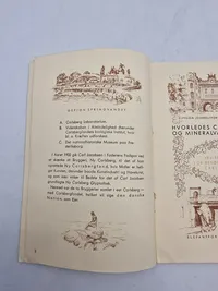 Original Carlsberg bog