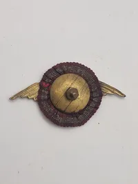 Samling diverse pins