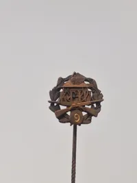 Samling diverse pins