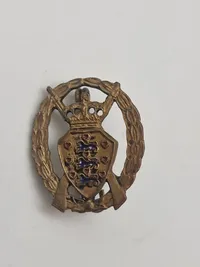 Samling diverse pins