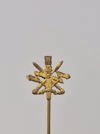 Samling diverse pins