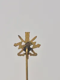 Samling diverse pins