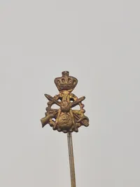 Samling diverse pins