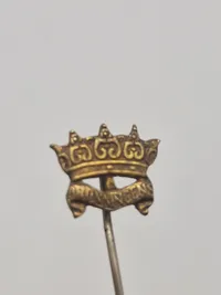Samling diverse pins